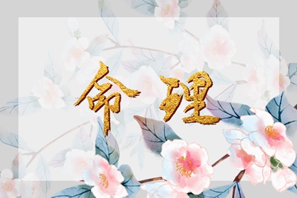 择吉老皇历|皇历查询|皇历
